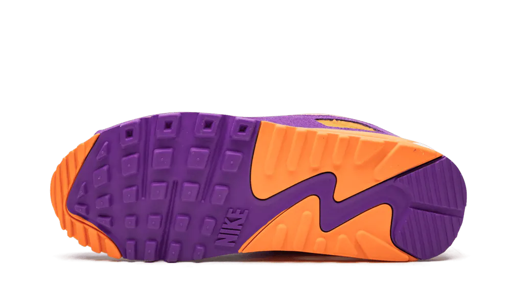 Air Max 90 - Viotech OG